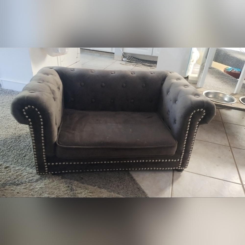 ZGallerie Dog Couch